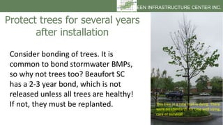 Consider bonding of trees. It is
common to bond stormwater BMPs,
so why not trees too? Beaufort SC
has a 2-3 year bond, wh...