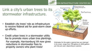 GREEN INFRASTRUCTURE CENTER INC.
• Establish city trees’ role as infrastructure
to receive federal aid for post-storm clea...