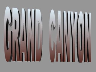 GRAND  CANYON 