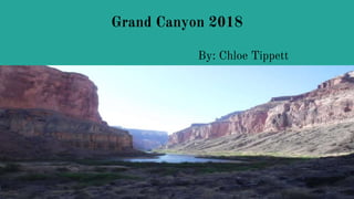 Grand Canyon 2018
By: Chloe Tippett
 