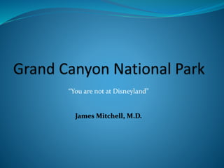 “You are not at Disneyland”
James Mitchell, M.D.
 