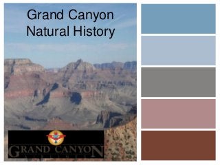 Grand Canyon
Natural History

 