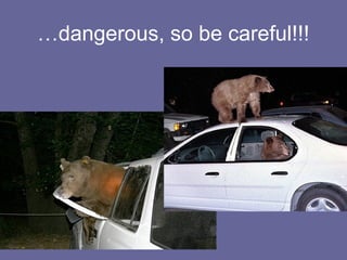 …dangerous, so be careful!!!
 