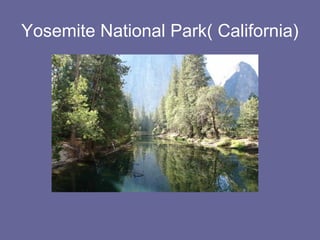 Yosemite National Park( California)
 