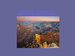 GRAND CANYON
 