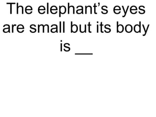 The elephant’s eyes
are small but its body
is __
 