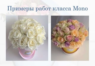 Примеры работ класса Mono
 