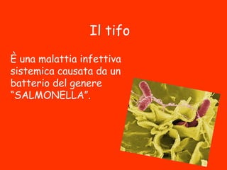 Il tifo
È una malattia infettiva
sistemica causata da un
batterio del genere
“SALMONELLA”.
 