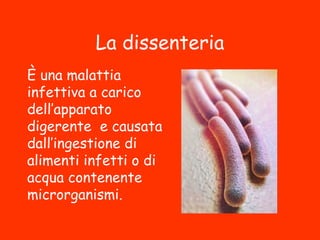 La dissenteria
È una malattia
infettiva a carico
dell’apparato
digerente e causata
dall’ingestione di
alimenti infetti o di
acqua contenente
microrganismi.
 