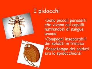 I pidocchi
•Sono piccoli parassiti
che vivono nei capelli
nutrendosi di sangue
umano
•Compagni inseparabili
dei soldati in trincea
•Passatempo dei soldati
era lo spidocchiarsi
 