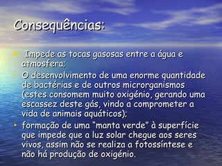 Consequências: Impede as tocas gasosas entre a água e atmosfera; O desenvolvimento de uma enorme quantidade de bactérias e de outros microrganismos (estes consomem muito oxigénio, gerando uma escassez deste gás, vindo a comprometer a vida de animais aquáticos); formação de uma “manta verde” à superfície que impede que a luz solar chegue aos seres vivos, assim não se realiza a fotossíntese e não há produção de oxigénio. 