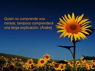 Quien no comprende una mirada, tampoco comprenderá una larga explicación. (Árabe) 