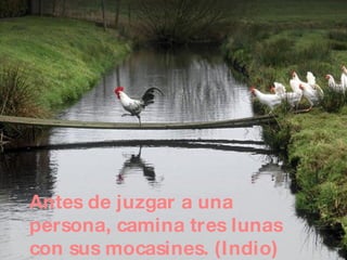 Antes de juzgar a una persona, camina tres lunas con sus mocasines. (Indio) 