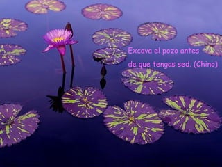 Excava el pozo antes  de que tengas sed. (Chino) 