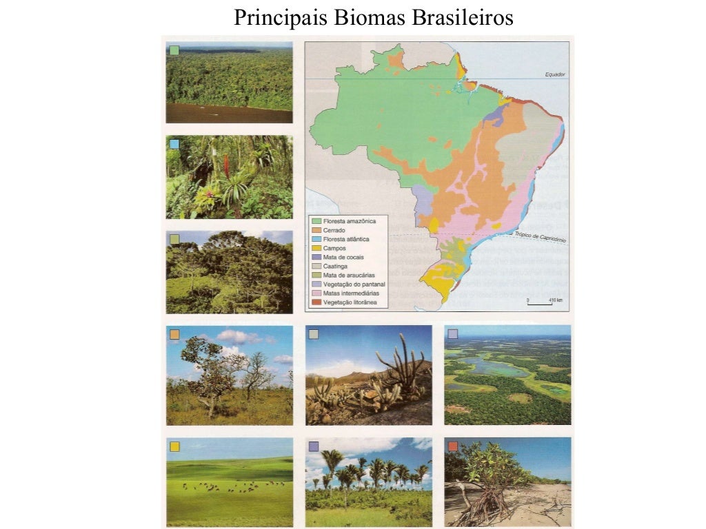 Escolha Tres Biomas Mundiais E Indique Alguns Impactos Ambientais