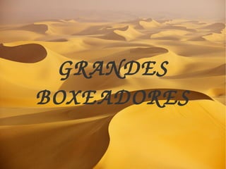 GRANDES 
BOXEADORES
 