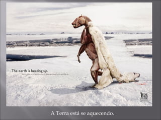 A Terra está se aquecendo.
 