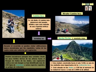 Machu Picchu
Camino Inca
termina en
Es, sin duda, el camino más
pintoresco del mundo,
debido a que está rodeado
de una exquisita belleza
natural.
Machu Picchu (= montaña vieja)
Durante el recorrido se pueden visitar edificaciones
nunca encontradas por los españoles, varias de las
cuales están aún cubiertas por vegetación.
Pueden encontrarse paisajes muy variados: desde
las poco fértiles tierras de las alturas hasta el
Bosque de Nubes de los Andes, con vegetación
exótica (en este bosque se han identificado más de
250 tipos de orquídeas y varias especies vegetales
en peligro de extinción).
 Esta ciudad, construida hacia el año 1450, es uno de
los símbolos más importantes de la civilización inca.
 Está situada en los Andes, a 130 km al noroeste de
la ciudad de Cuzco y a más de 2.000 m de altitud.
Mirador Camino Inca
 