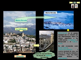 Sierra Nevada y Albaicín
La Alhambra
Granada
Sierra Nevada
Sierra Nevada
Sierra Nevada es un parque
nacional que se extiende por
una impresionante hilera de
alturas superiores a los
3.000 metros: La Alpujarra, el
Marquesado y el Valle de
Lecrín.
Ha sido reconocida como
parque natural,
reserva de la biosfera y
reserva nacional de caza, con
más de 70 especies botánicas
exclusivas y una rica fauna
donde destaca la
cabra montés.
Zonas de especial interés:
los barrios de Albaicín y
Sacromonte
 