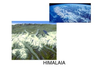 HIMALAIA
 