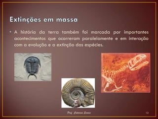 • A história da terra também foi marcada por importantes
  acontecimentos que ocorreram paralelamente e em interação
  com a evolução e a extinção das espécies.




                        Prof. Catarina Soares            12
 