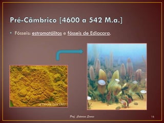 • Fósseis: estromatólitos e fósseis de Ediacara.




                            Prof. Catarina Soares   16
 