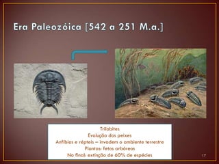 Trilobites
               Evolução dos peixes
Anfíbios e répteis – invadem o ambiente terrestre
             Plantas: fetos arbóreos
     No final: extinção de 60% de espécies
                  Prof. Catarina Soares             17
 