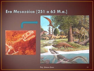 Prof. Catarina Soares   19
 