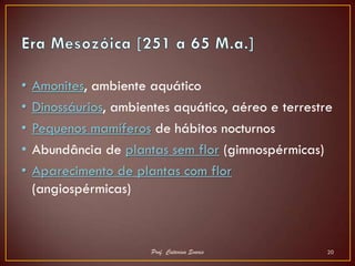 •   Amonites, ambiente aquático
•   Dinossáurios, ambientes aquático, aéreo e terrestre
•   Pequenos mamíferos de hábitos nocturnos
•   Abundância de plantas sem flor (gimnospérmicas)
•   Aparecimento de plantas com flor
    (angiospérmicas)



                        Prof. Catarina Soares         20
 