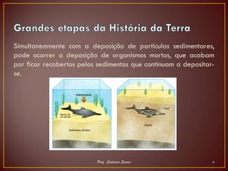 Simultaneamente com a deposição de partículas sedimentares,
pode ocorrer a deposição de organismos mortos, que acabam
por ficar recobertos pelos sedimentos que continuam a depositar-
se.




                          Prof. Catarina Soares                4
 