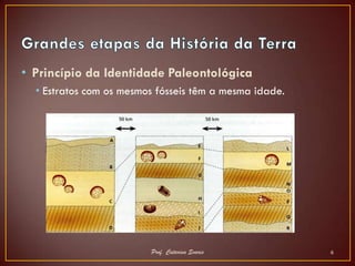 • Princípio da Identidade Paleontológica
  • Estratos com os mesmos fósseis têm a mesma idade.




                         Prof. Catarina Soares          6
 