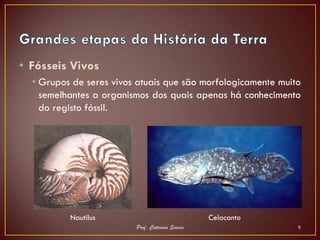 • Fósseis Vivos
  • Grupos de seres vivos atuais que são morfologicamente muito
    semelhantes a organismos dos quais apenas há conhecimento
    do registo fóssil.




          Nautilus                               Celacanto
                         Prof. Catarina Soares                9
 