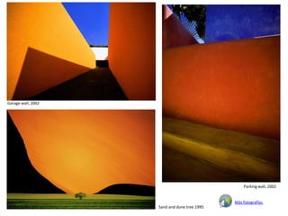 Garage wall, 2002




                                                  Parking wall, 2002


                                              Más fotografías
                    Sand and dune tree 1995
 