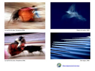 La suerte de capa. Pamplona 1956                         Pájaro en vuelo, 1959




La suerte de varas. Pamplona 1956                                Ola negra, 1966


                                    Más imágenes de Ernst Haas
 