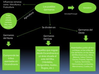 Los pueblos 
Germanos 
Se dividen en 
Germanos 
del Norte 
Germanos 
Del Este 
Ganadería 
Germanos del 
Oeste 
Comprende las 
tribus 
asentadas en 
Escandinavia 
Aquellos que migran 
desde Escandinavia a 
un área situada al 
este del Elba 
(Vándalos, 
Burgundios, Godos , 
Rugios, etc.) 
Asentados junto al Rhin 
y el Weser, en las orillas del 
mar del Norte y en las riberas 
del Elba (Queruscos, Ubios, 
Bátavos, Catos, Francos, 
Cauces, Frisones, Sajones, 
Suevos, Semnones, 
Hermundures, Lombardos, 
Marcómanos, Cuados, etc 
Influencias romanas 
como : Viticultura y 
Fruticultura 
Trigo, 
avena, 
cebada, 
centeno, 
lino, mijo, 
legumbres 
Actividad Principal 
 