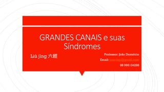 GRANDES CANAIS e suas
Síndromes
Professor: João Demétrio
Email: joaodap@gmail.com
88 996134298
Liù jīng 六經
 