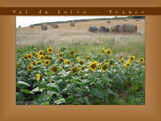 Val du Loire - France 