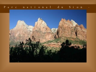 Parc national du Sion - Utah - USA 