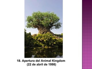 18. Apertura del Animal Kingdom
(22 de abril de 1998)
 