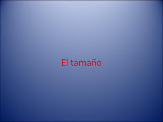 El tamaño 