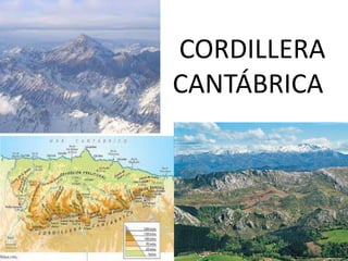 122
CORDILLERA
CANTÁBRICA
 