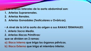 • Las arterias laterales de la aorta abdominal son:
1. Arterias Suprarrenales.
2. Arterias Renales.
3. Arterias Gonadales (Testiculares u Ováricas).
• A nivel de la L4 la aorta da origen a sus RAMAS TERMINALES:
1. Arteria Sacra Media.
2. Arterias Iliacas Primitivas:
que se dividen en 2 ramas:
a) Iliaca Interna que irriga los órganos pélvicos.
b) Iliaca Externa que irriga el miembro inferior.
 