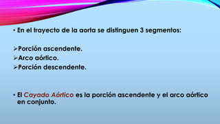 • En el trayecto de la aorta se distinguen 3 segmentos:
Porción ascendente.
Arco aórtico.
Porción descendente.
• El Cayado Aórtico es la porción ascendente y el arco aórtico
en conjunto.
 