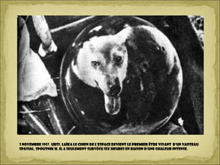3 novembre 1957. URSS. Laïka le chien de l’espace devient le premier être vivant d'un vaisseau
spatial, Spoutnik II. Il a seulement survécu six heures en raison d'une chaleur intense.
 