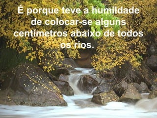 É porque teve a humildade de colocar-se alguns centímetros abaixo de todos os rios.   
