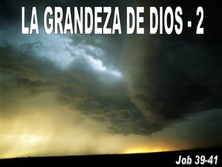 LA GRANDEZA DE DIOS - 2 Job 39-41 