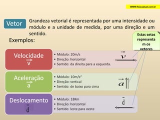 Grandeza vetorial é representada por uma intensidade ou módulo e a unidade de medida, por uma direção e um sentido. Exemplos:  Estas setas representam os vetores WWW.fisicaatual.com.br 