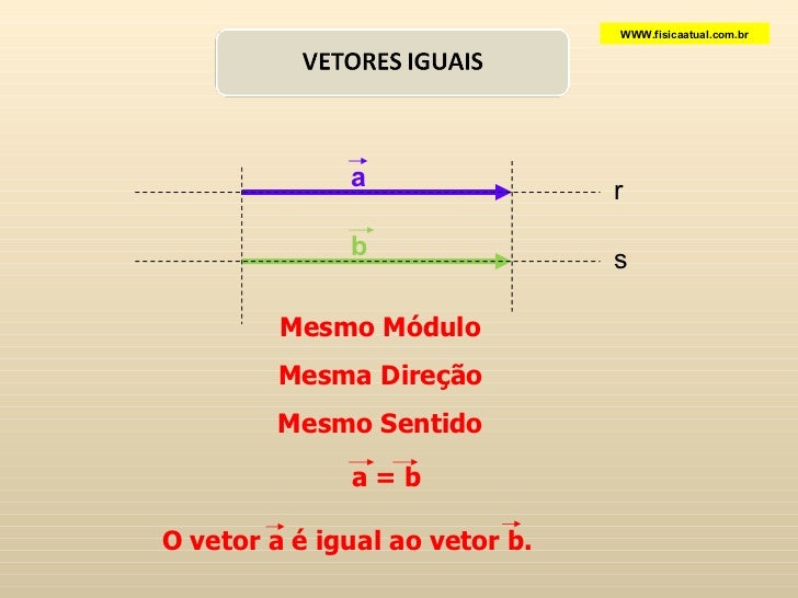 Qual A Diferença Entre Grandeza Escalar E Grandeza Vetorial