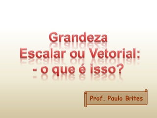 Prof. Paulo Brites
 