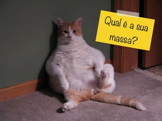 Qual é a sua
massa?
 